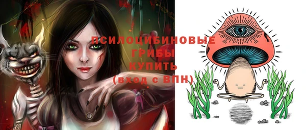 ГАЛЛЮЦИНОГЕННЫЕ ГРИБЫ Магадан