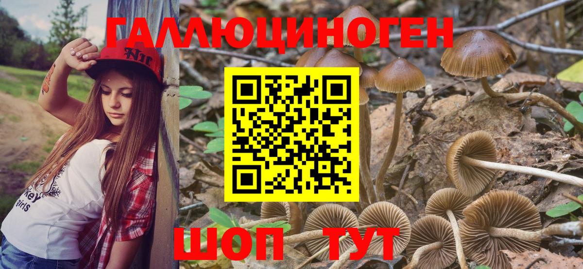 Кувандык  хочу наркоту  Вход с VPN  Галлюциногенные грибы Psilocybine cubensis  Галлюциногенные грибы мухоморы 